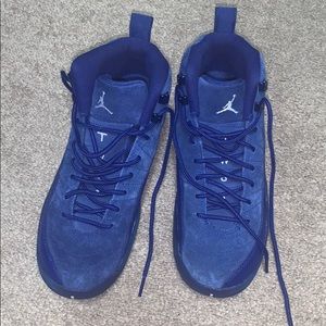 Blue Jordan 12s